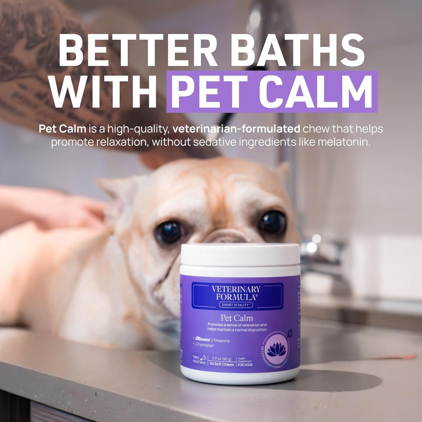 Veterinary Formula Clinical Care Antiseptic and Antifungal Medicated Shampoo for Dogs & Cats, 16 Fl Oz ?Helps Alleviate Scaly, Greasy, red Skin ?Paraben, Dye, Soap-Free (1 Pack)