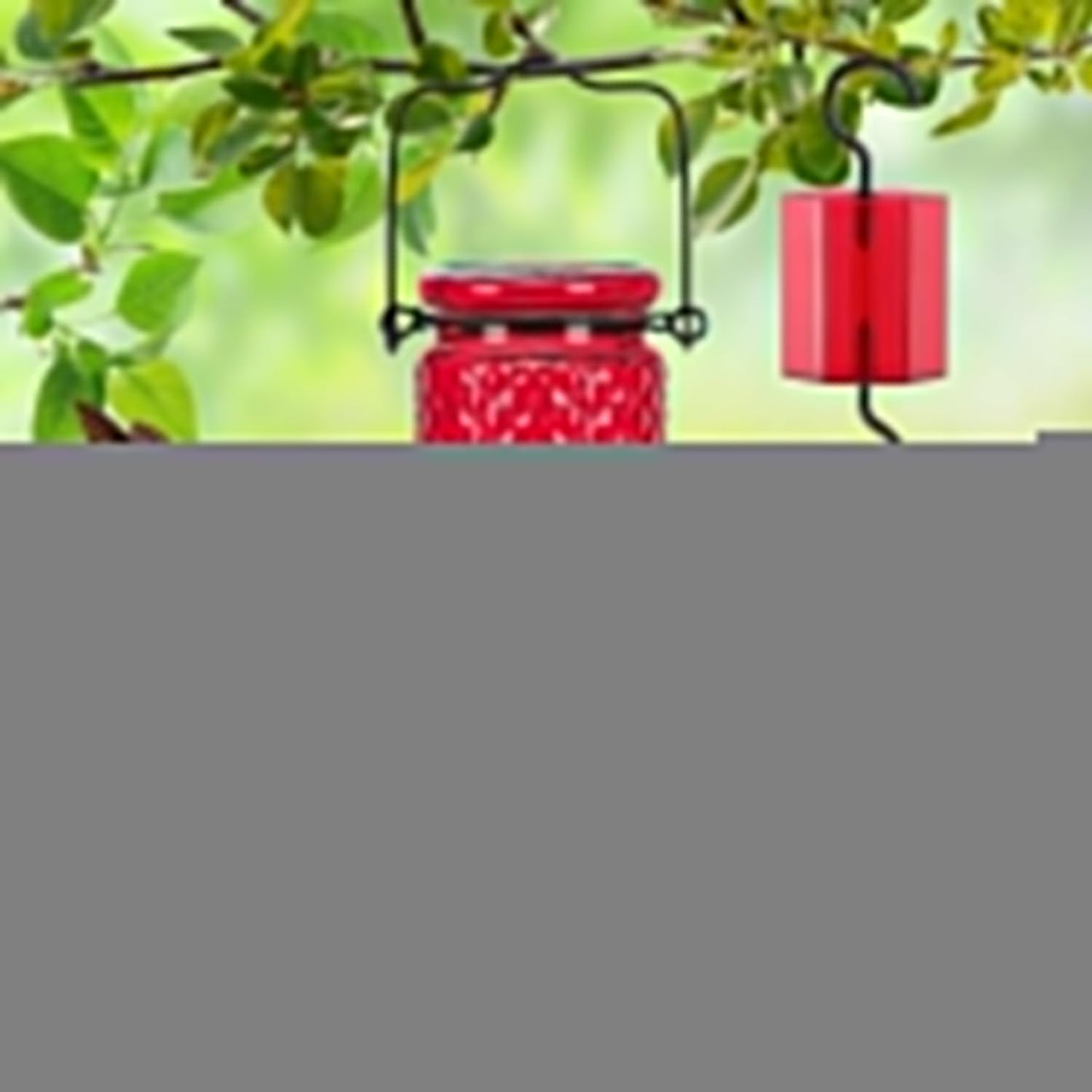 FEED GARDEN Glass Hummingbird Feeder, 16oz Outdoor Hanging Bird Feeder with Ant Moat, 4 Bee-Proof Feeding Ports, 360?Perch, Leak-Proof, Red