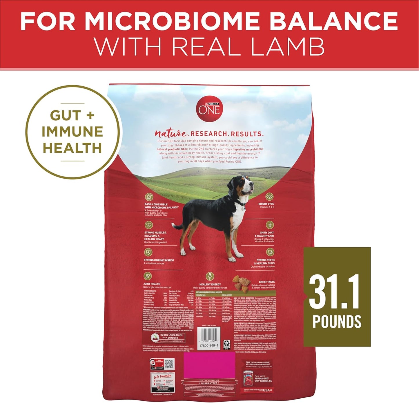 Purina ONE Dry Dog Food Lamb and Rice Formula - 31.1 lb. Bag