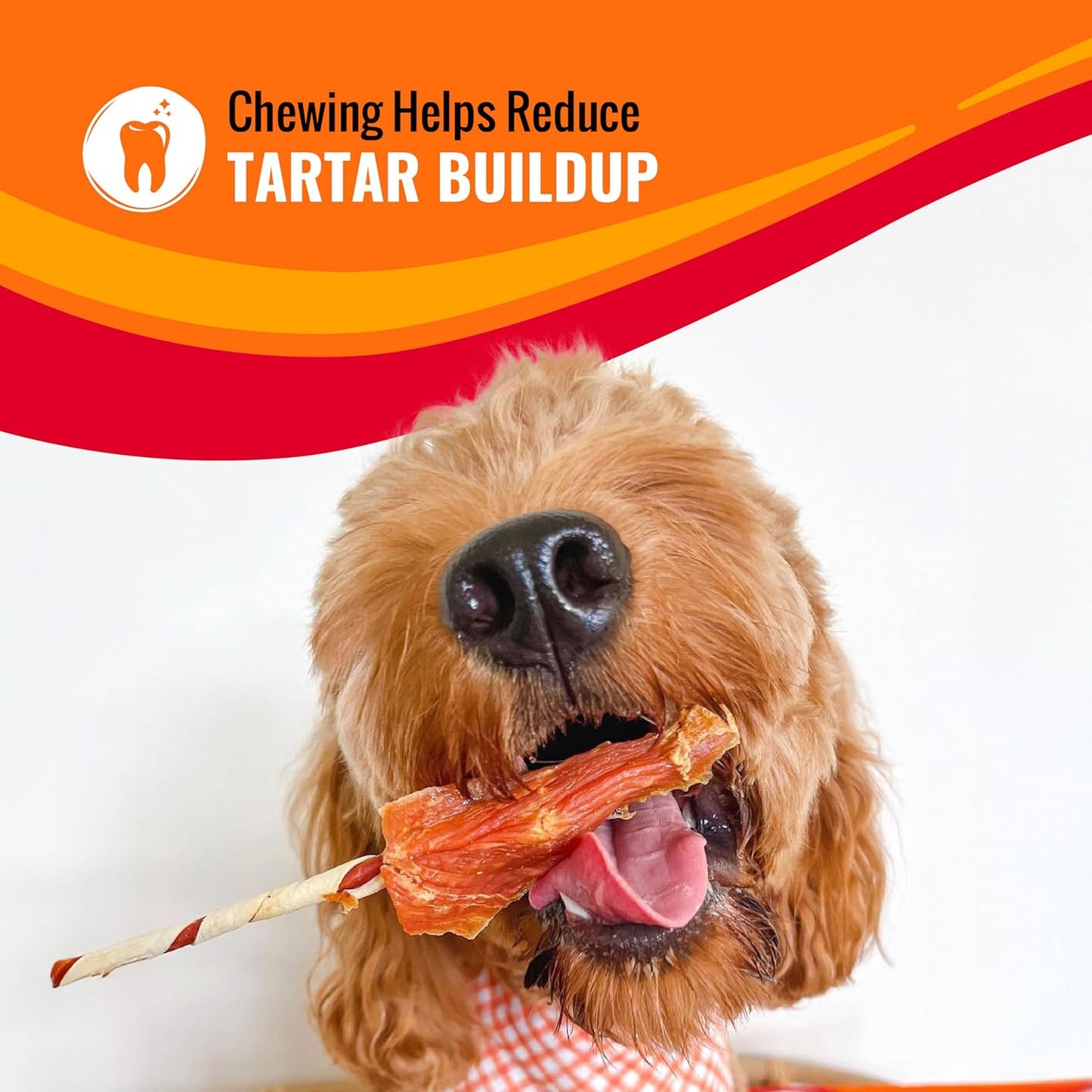 Good ??Fun Triple Flavor Wings Chews for All Dogs, 12 Ounces, Treat Your Dog to Long-Lasting Chews Made from Chicken, Pork Hide and Beef Hide