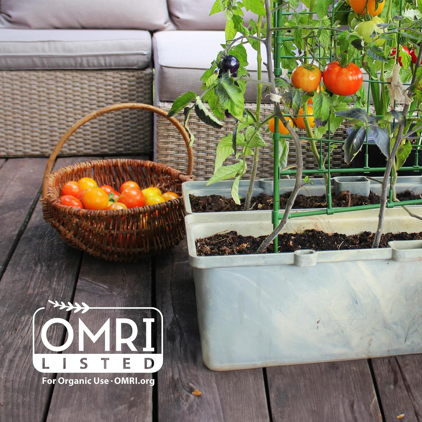 Back to The Roots Organic Coir, 51 Quart Expanding Soil, Great for Seeds and Potting