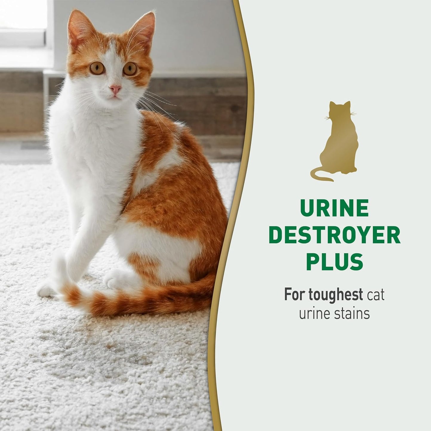Nature? Miracle Urine Destroyer Plus Cat, 32 Ounces,Unscented, Enzymatic Formula, Ready-to-Use