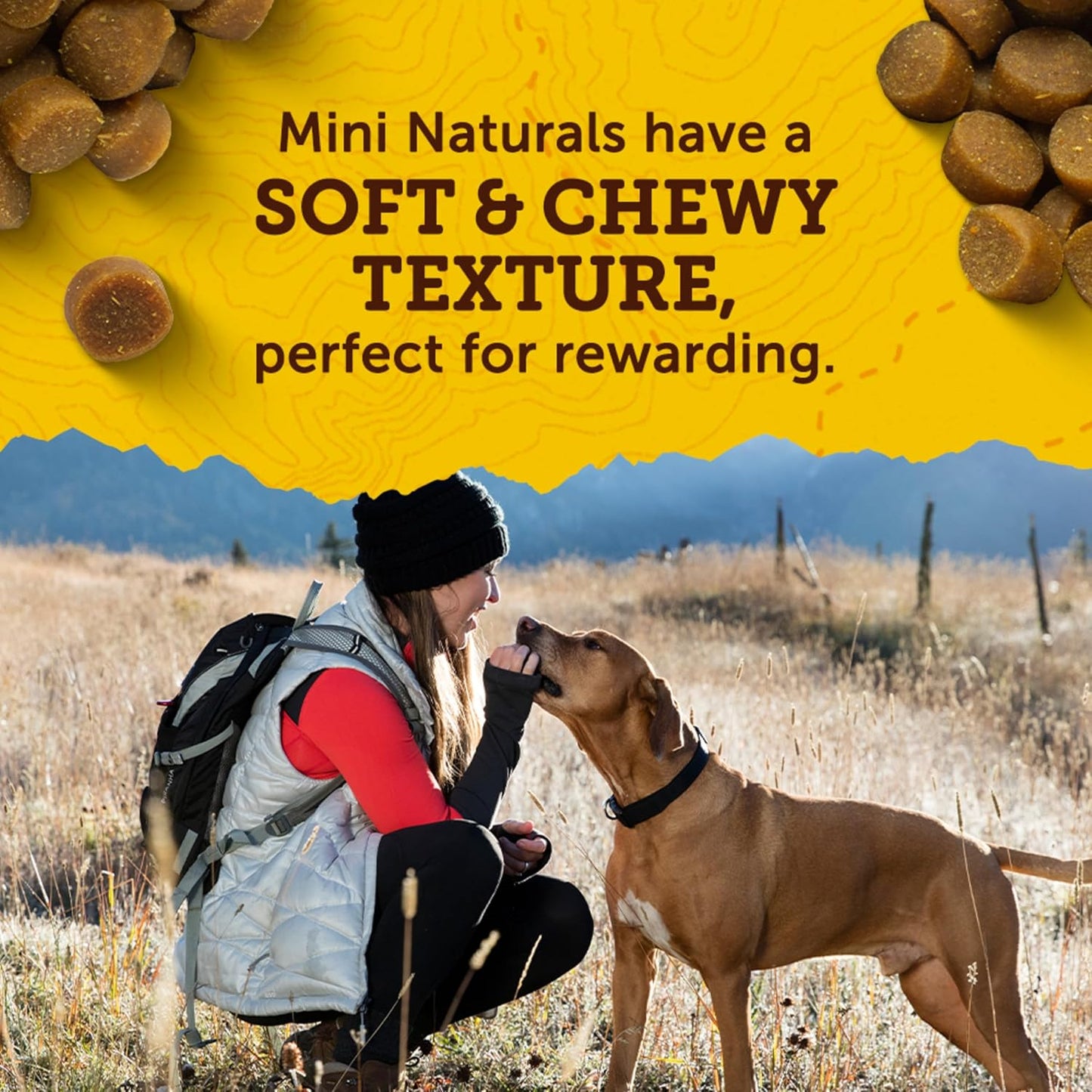 Zuke? Mini Naturals Dog Training Treats for Dogs, Pet Treats Made with Real Chicken, 16 oz
