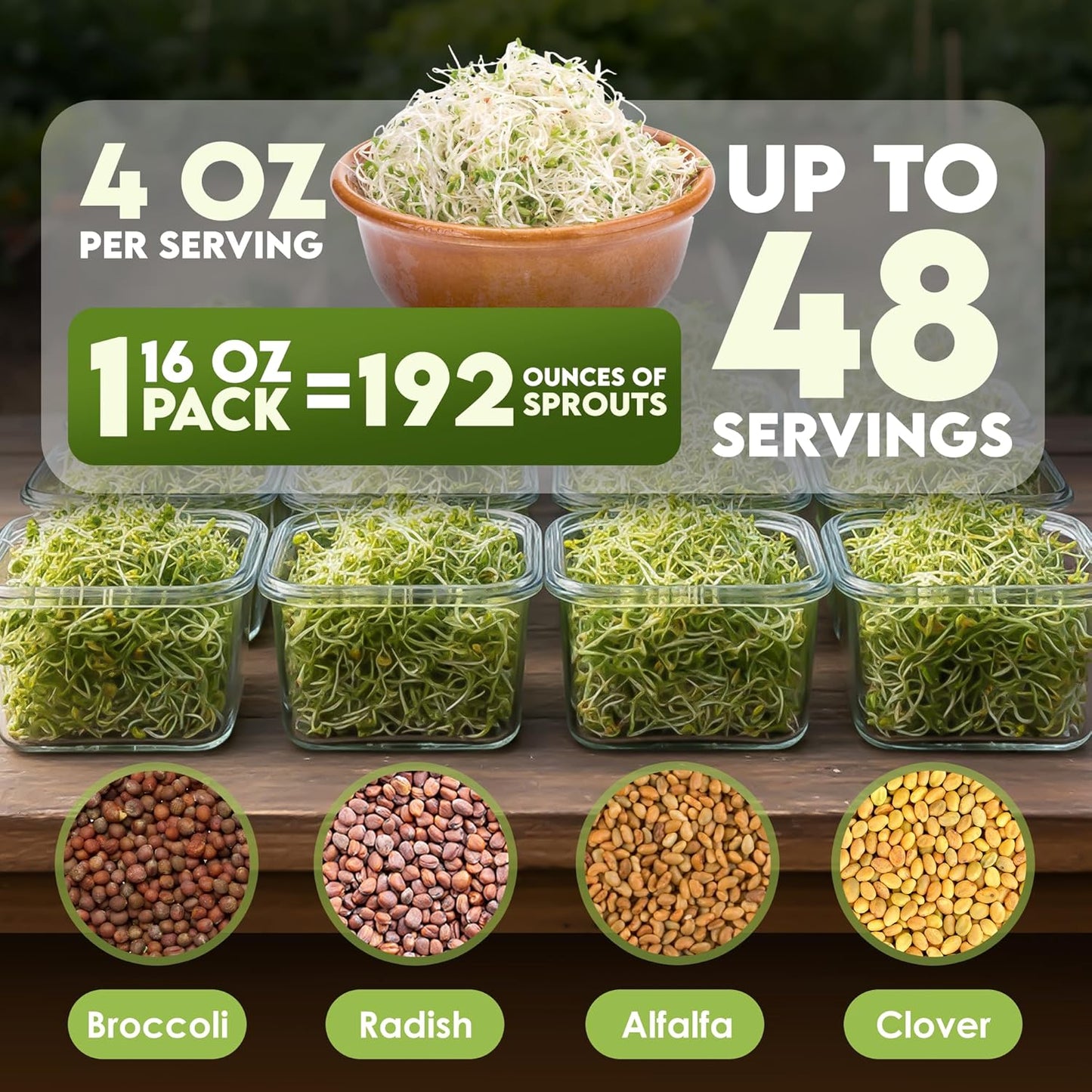 Nature Jim? Sprouts Organic Salad Mix ?Non-GMO Microgreen Seeds, Perfect for Growing Nutritious Organic Broccoli, Alfalfa, Radish & Clover Sprouts ?Easy Indoor/Outdoor Home Sprouting Seeds ?1lb