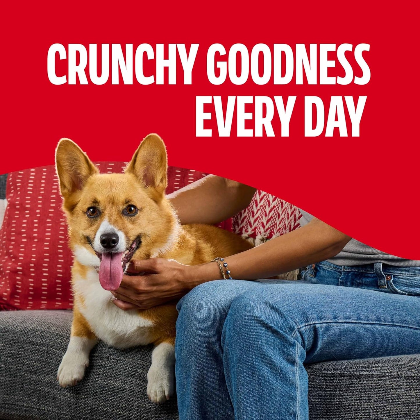 Milk-Bone Flavor Snacks Mini? Dog Biscuits, Flavored Crunchy Dog Treats, 36 Oz. Canister