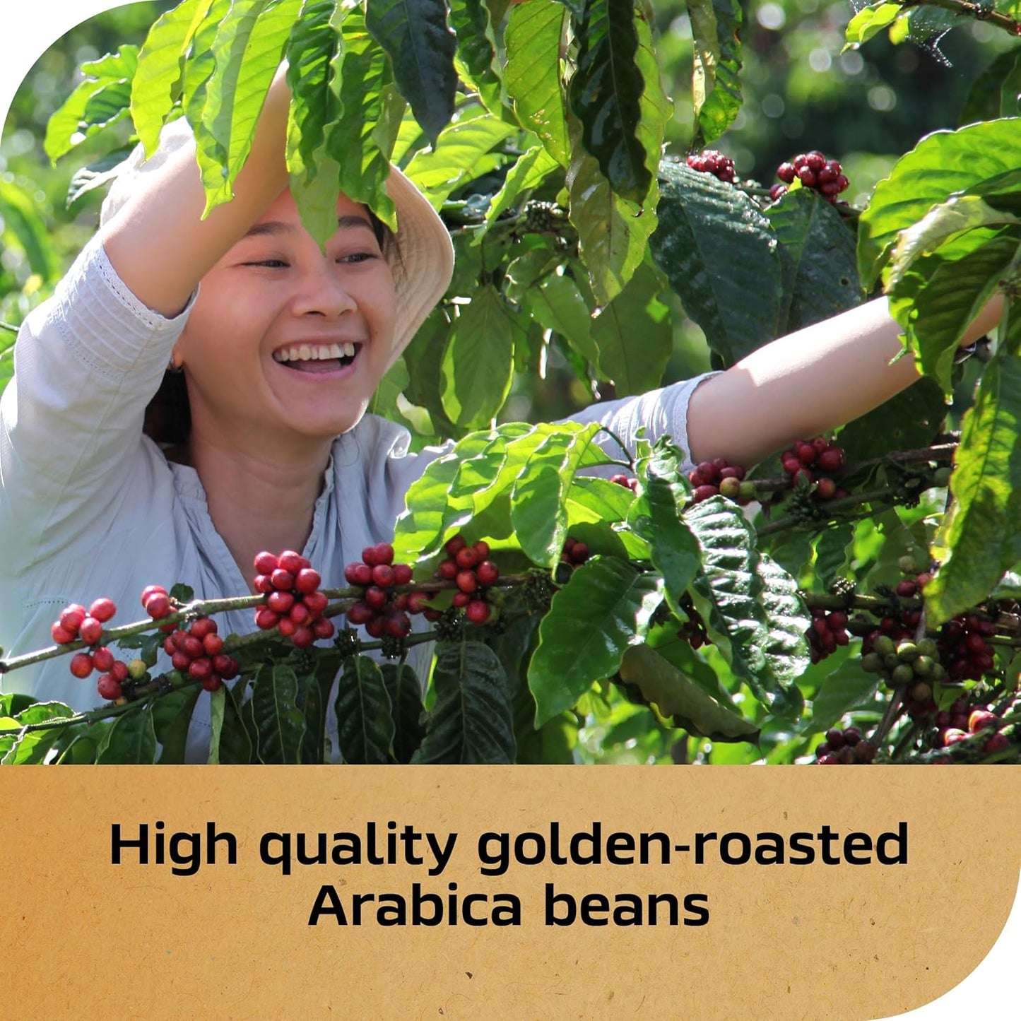 NESCAF?Gold Espresso Blonde, Instant Coffee, 3.5 oz