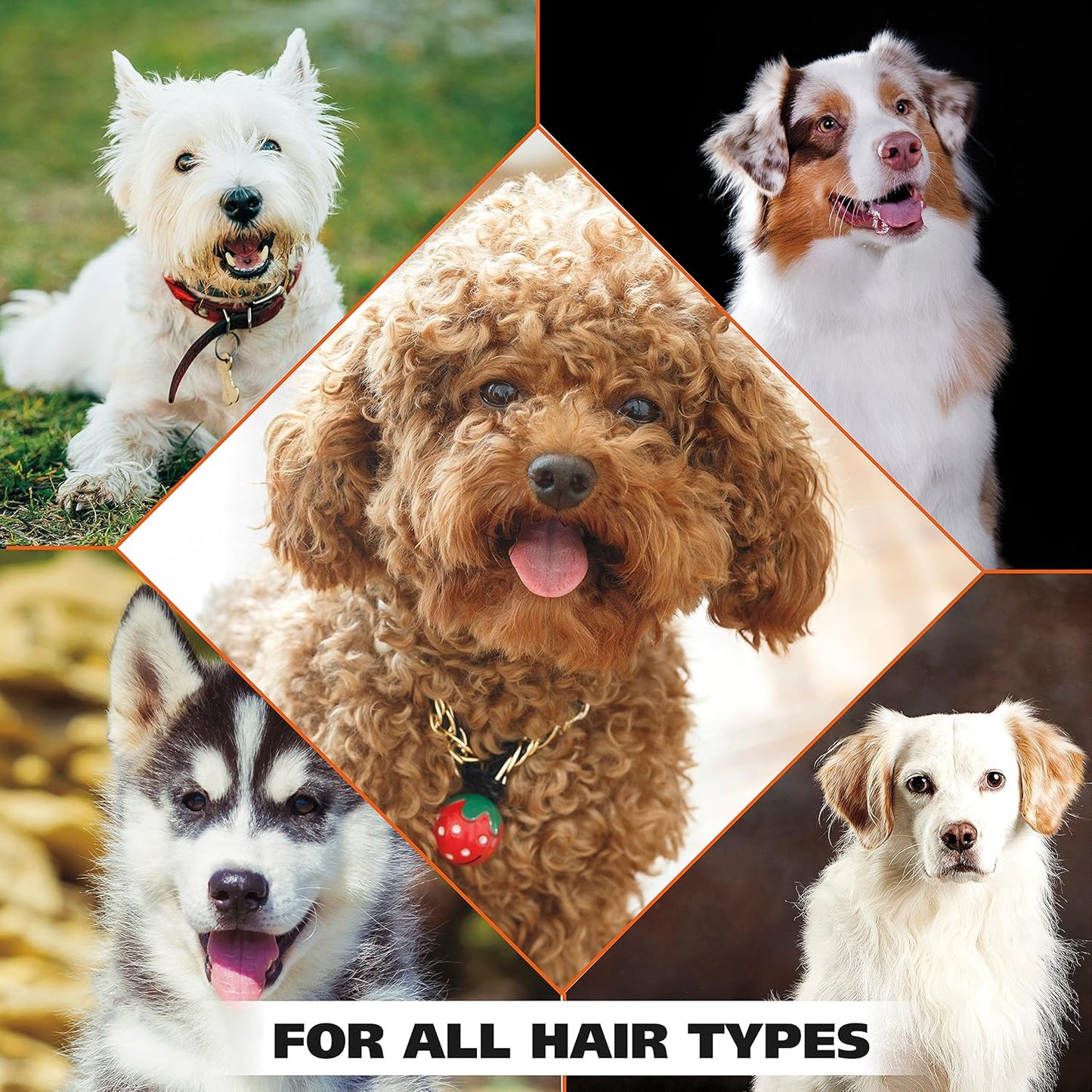Wahl USA 4-in-1 Calming Dog Shampoo with Lavender Chamomile Scent ?Cleans, Conditions, Detangles, & Moisturizes - Pet Friendly Formula - 24 Oz - Model 820000A